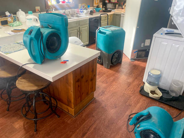 Best Mold removal after water damage  in Lebanon, PA