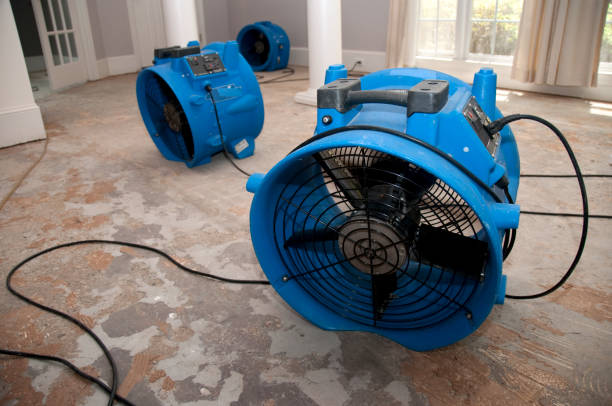 Best Water damage cleanup near me  in Lebanon, PA