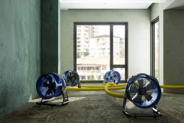 Best Professional water damage repair  in Lebanon, PA